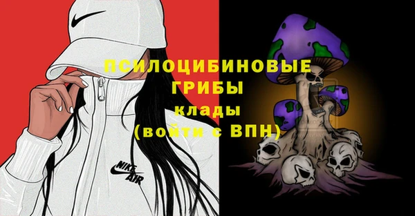 мяу мяу мука Алексеевка