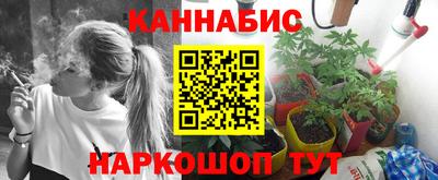 хмурый Кингисепп