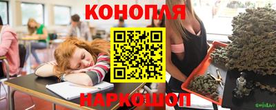 хмурый Кингисепп