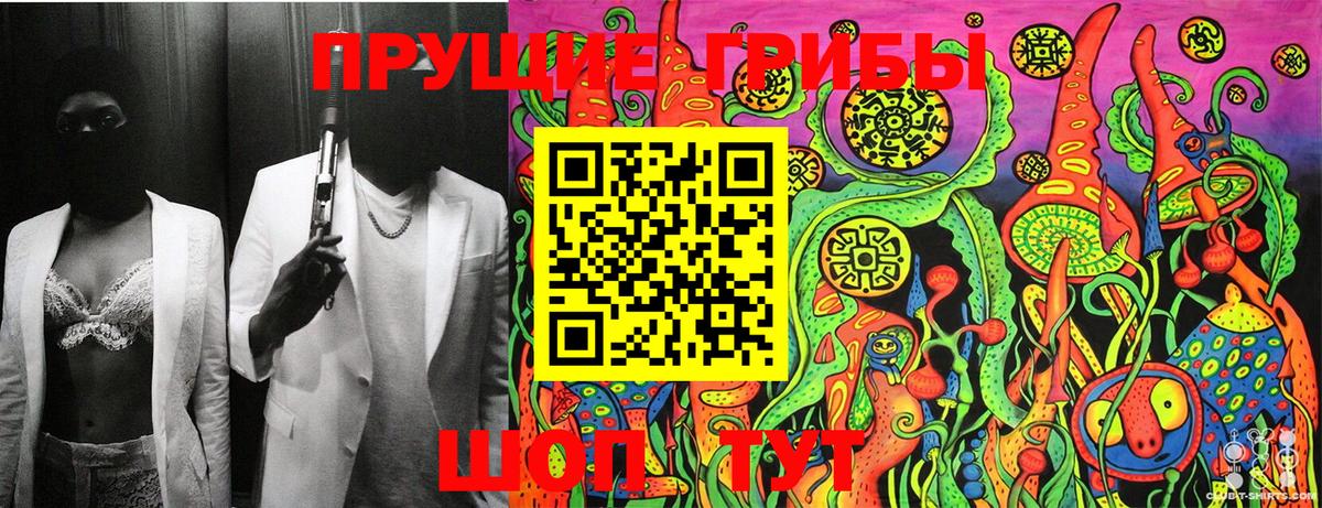Псилоцибиновые грибы Psilocybine cubensis Крымск