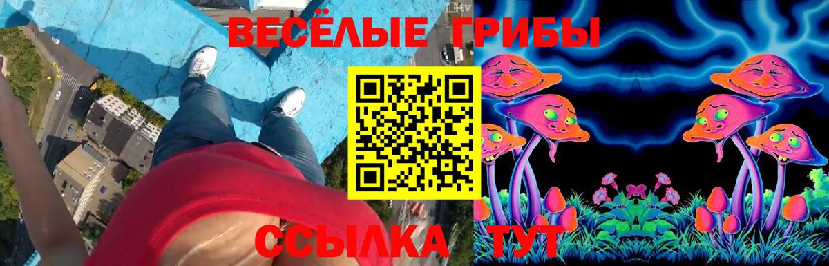 Галлюциногенные грибы мицелий  Вход с VPN  Крымск 